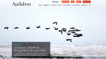 National Audubon Society National Audubon Society