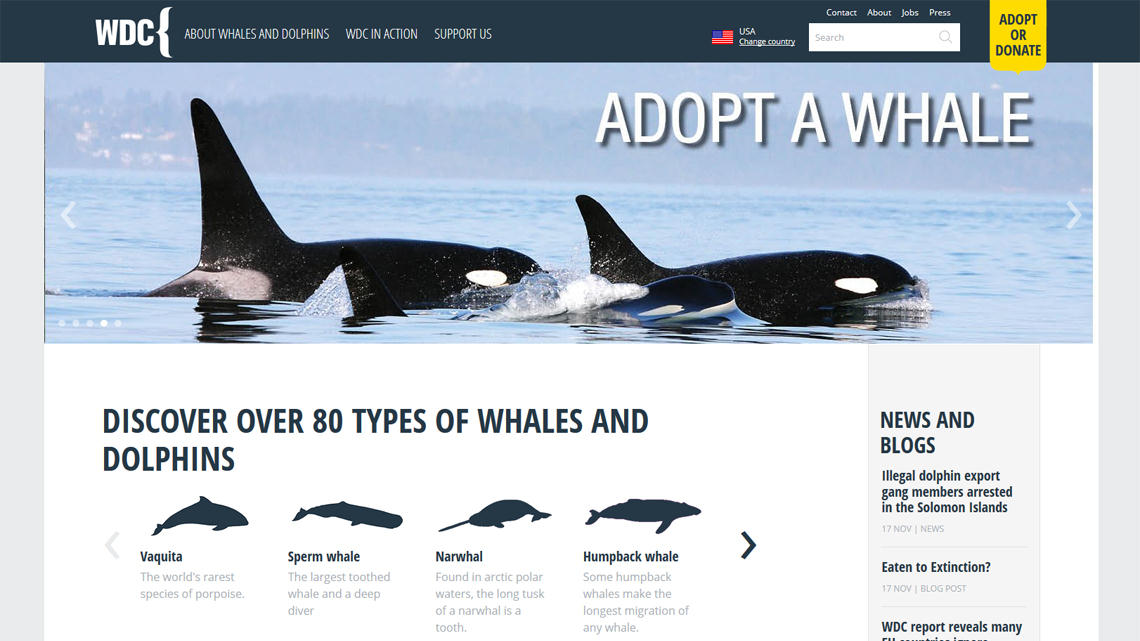 Whale and Dolphin Conservation