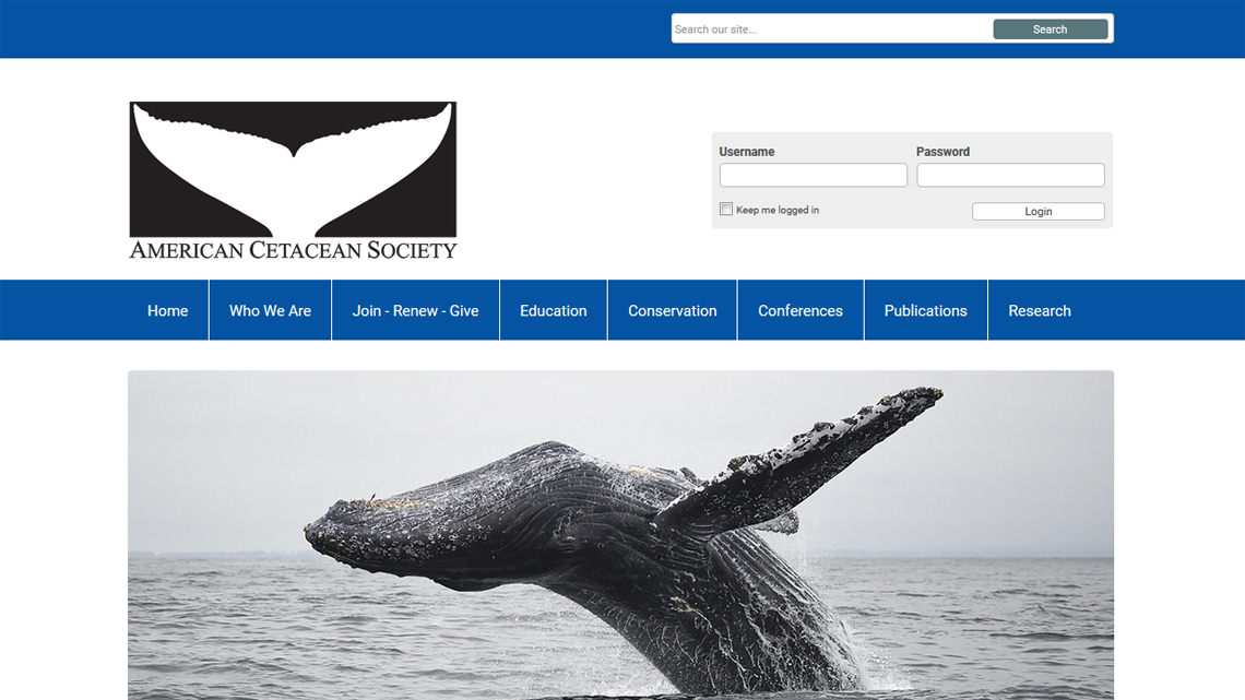 American Cetacean Society
