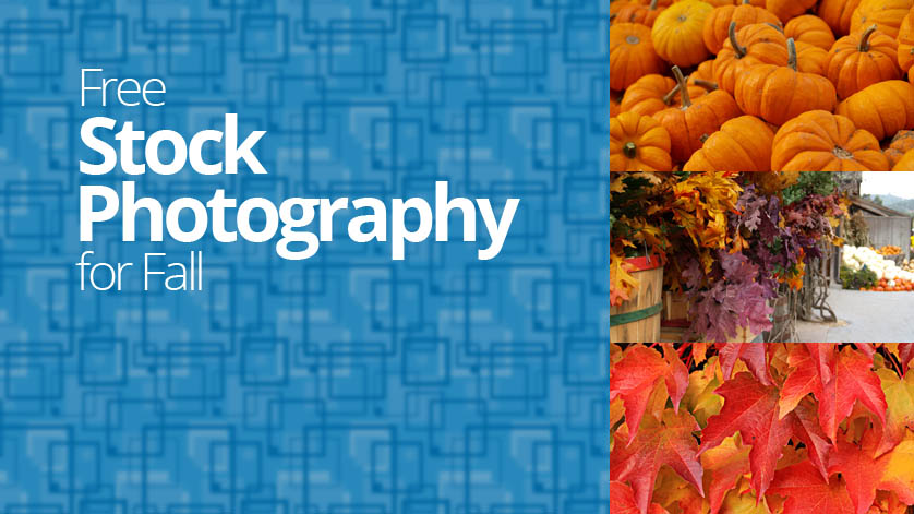 Free Stock Images for Fall Free Stock Images for Fall